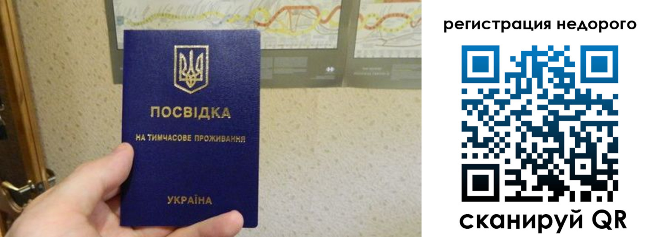 прописка для работы в Рошале